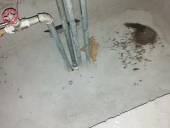 荥经卫生间测漏水价格明细
